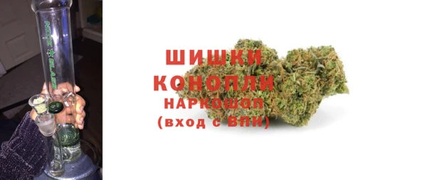 ПСИЛОЦИБИНОВЫЕ ГРИБЫ Козельск