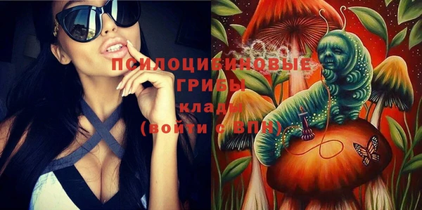 ПСИЛОЦИБИНОВЫЕ ГРИБЫ Козельск