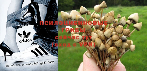 ПСИЛОЦИБИНОВЫЕ ГРИБЫ Козельск