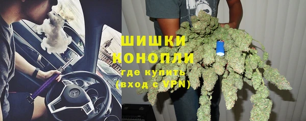 мдпв Козловка