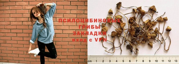 ПСИЛОЦИБИНОВЫЕ ГРИБЫ Козельск