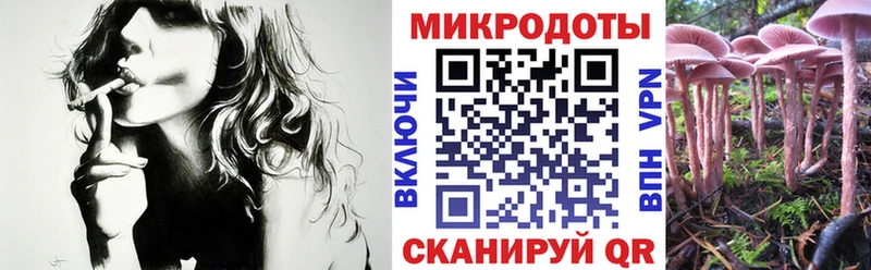 Псилоцибиновые грибы Psilocybe  Купить  Саранск 
